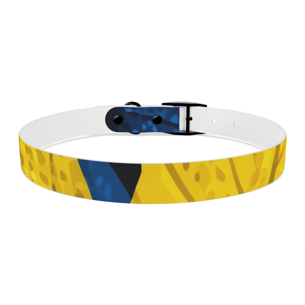 Colorful Colombian Abstract Dog Collar — Vibrant Ethnic Pattern Pet Collar