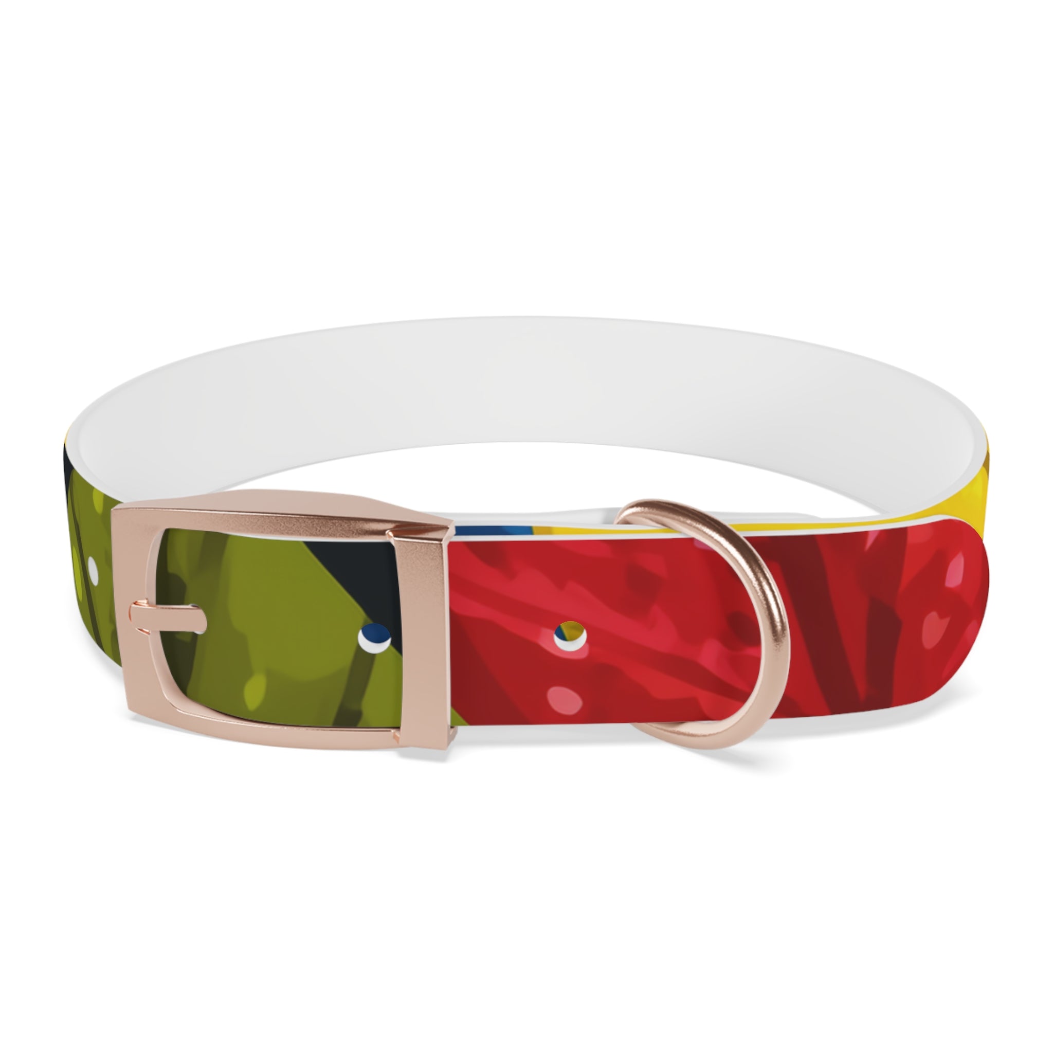 Colorful Colombian Abstract Dog Collar — Vibrant Ethnic Pattern Pet Collar