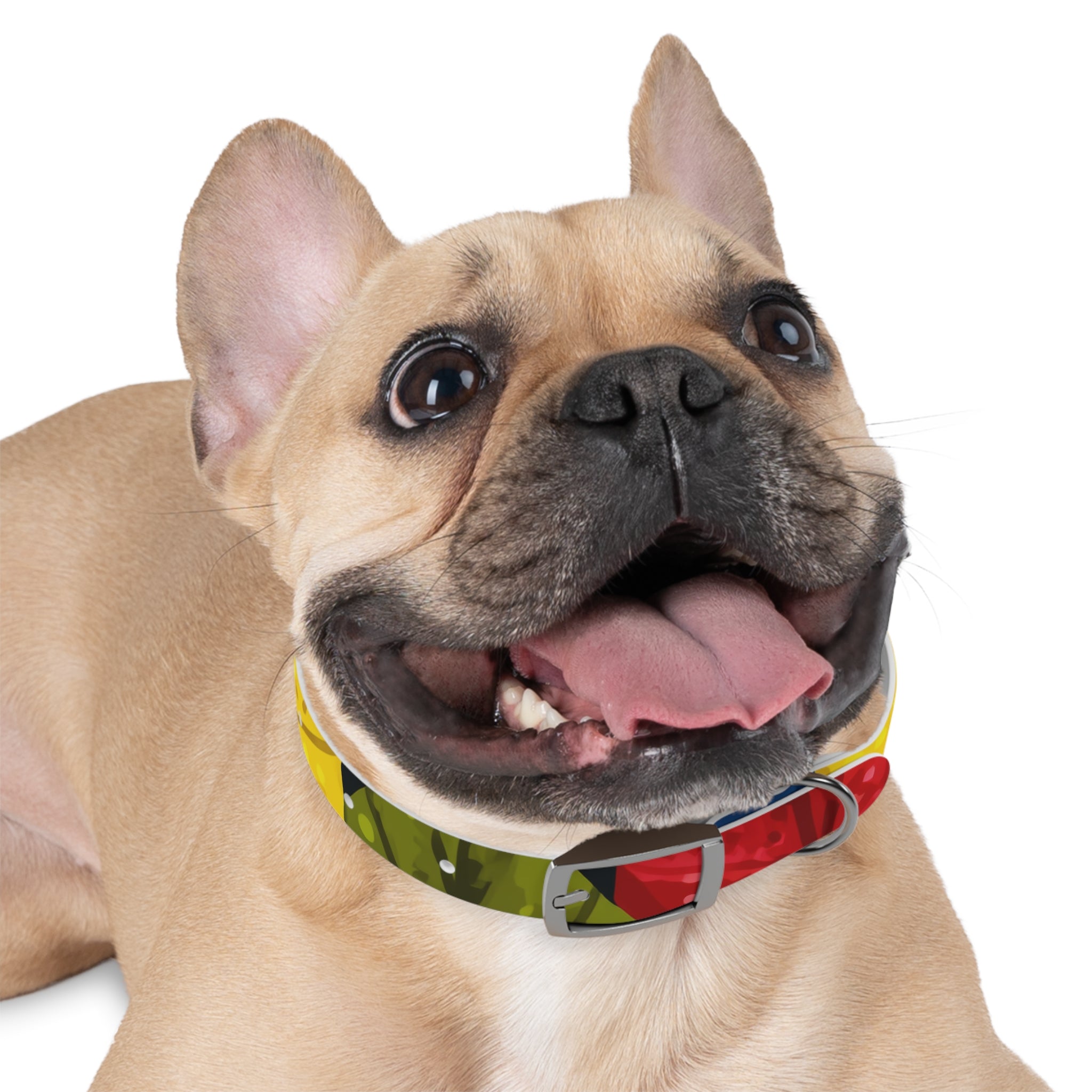 Colorful Colombian Abstract Dog Collar — Vibrant Ethnic Pattern Pet Collar