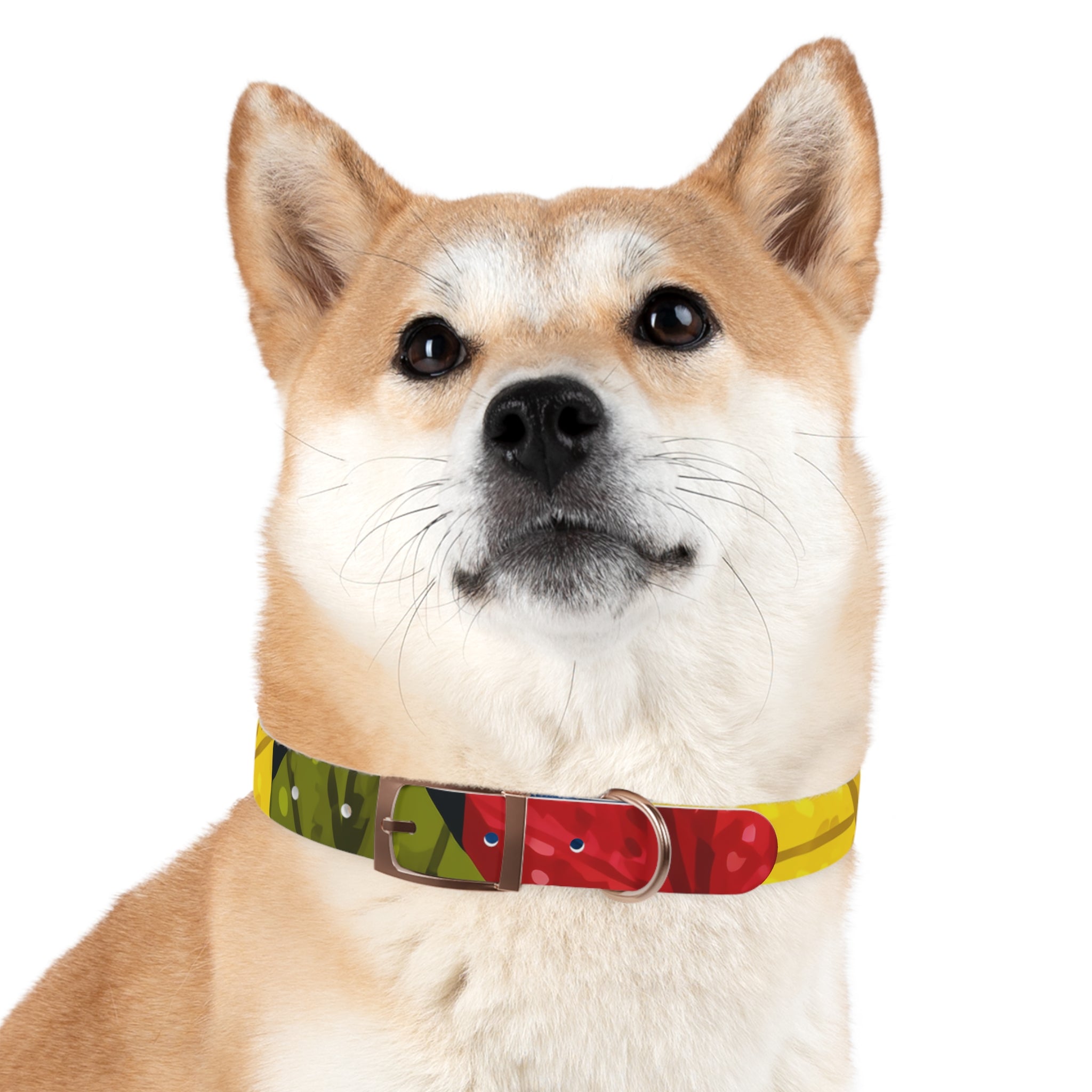 Colorful Colombian Abstract Dog Collar — Vibrant Ethnic Pattern Pet Collar