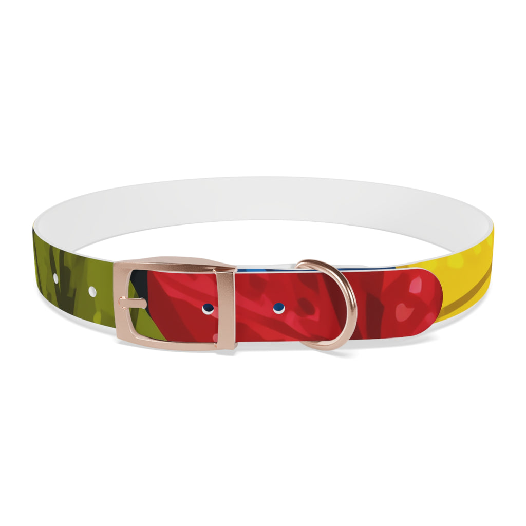 Colorful Colombian Abstract Dog Collar — Vibrant Ethnic Pattern Pet Collar