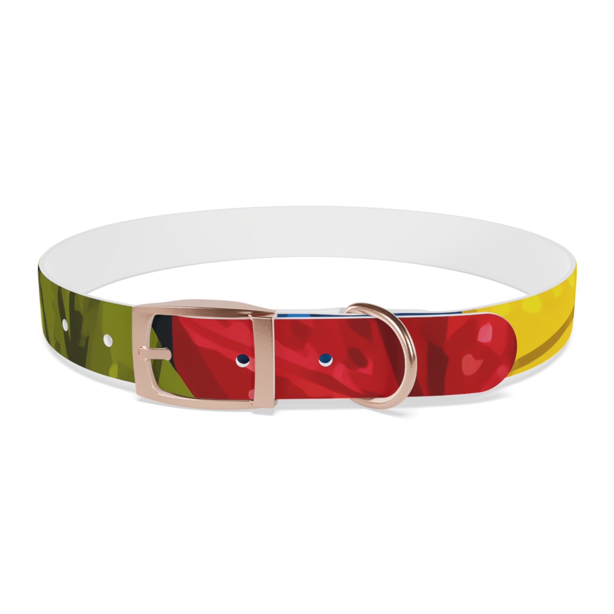 Colorful Colombian Abstract Dog Collar — Vibrant Ethnic Pattern Pet Collar