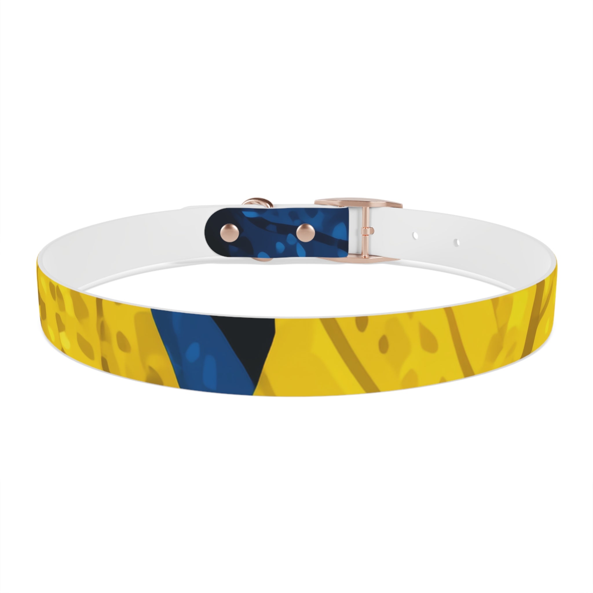 Colorful Colombian Abstract Dog Collar — Vibrant Ethnic Pattern Pet Collar