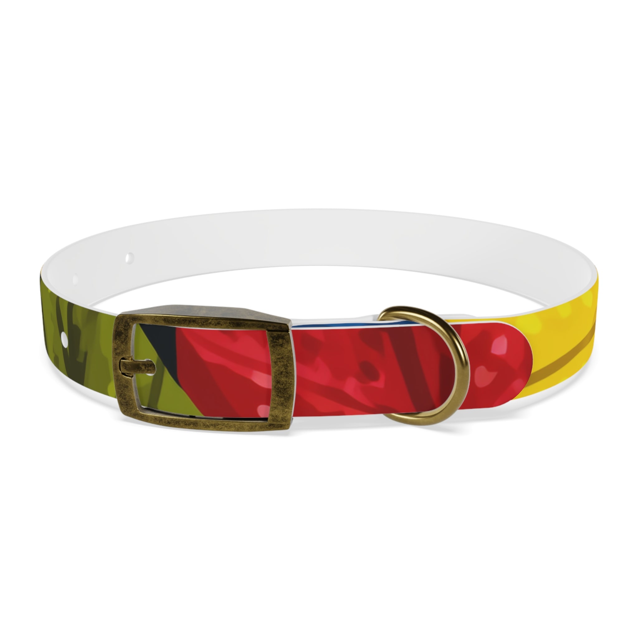 Colorful Colombian Abstract Dog Collar — Vibrant Ethnic Pattern Pet Collar