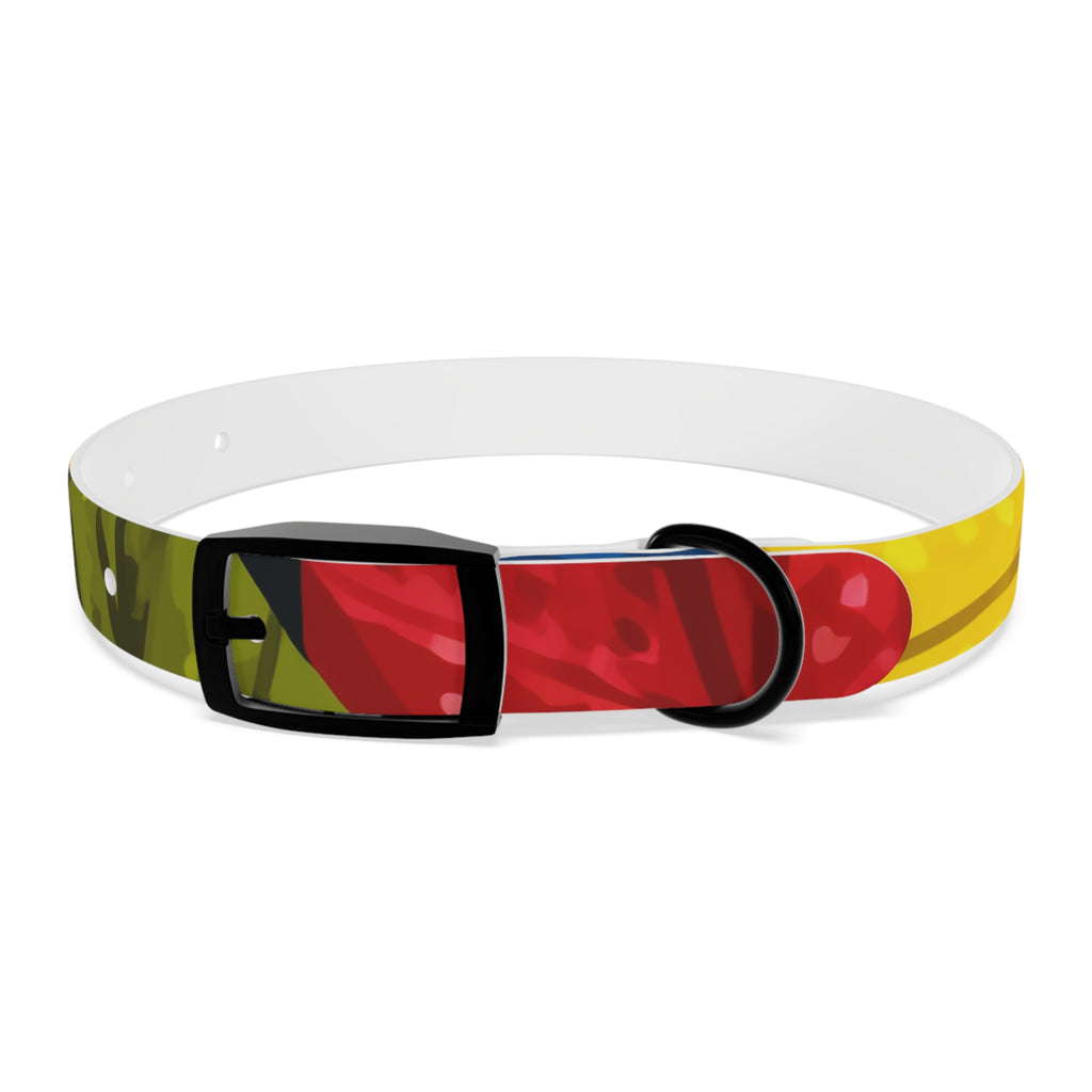 Colorful Colombian Abstract Dog Collar — Vibrant Ethnic Pattern Pet Collar
