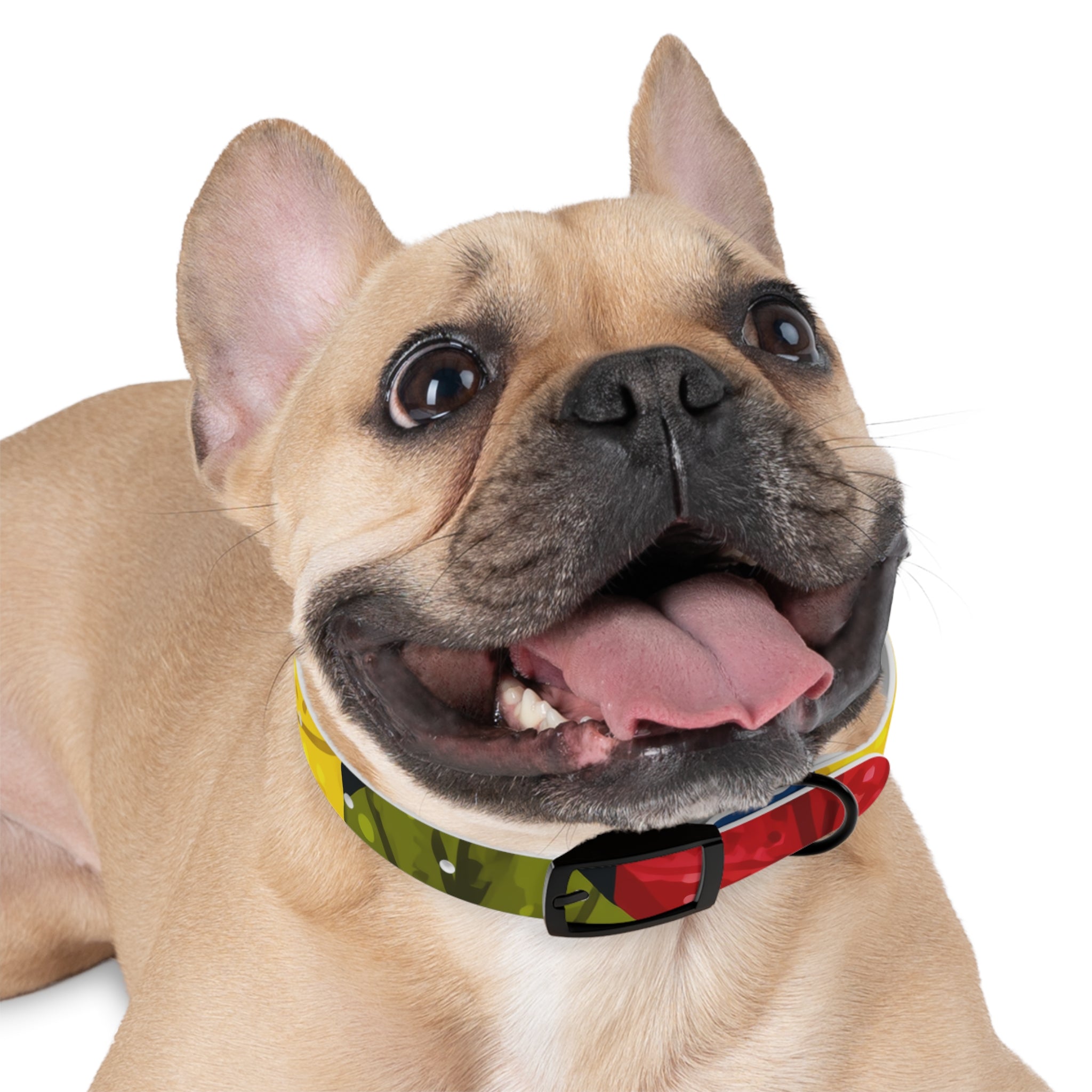 Colorful Colombian Abstract Dog Collar — Vibrant Ethnic Pattern Pet Collar