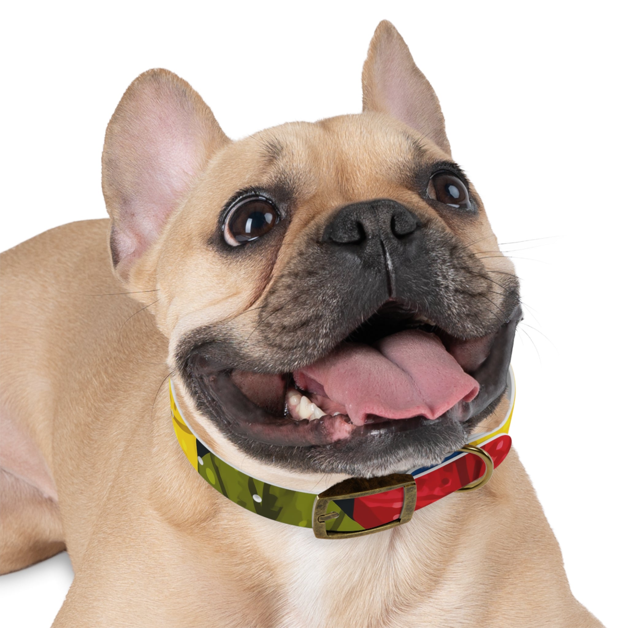 Colorful Colombian Abstract Dog Collar — Vibrant Ethnic Pattern Pet Collar