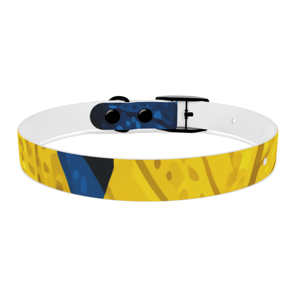 Colorful Colombian Abstract Dog Collar — Vibrant Ethnic Pattern Pet Collar