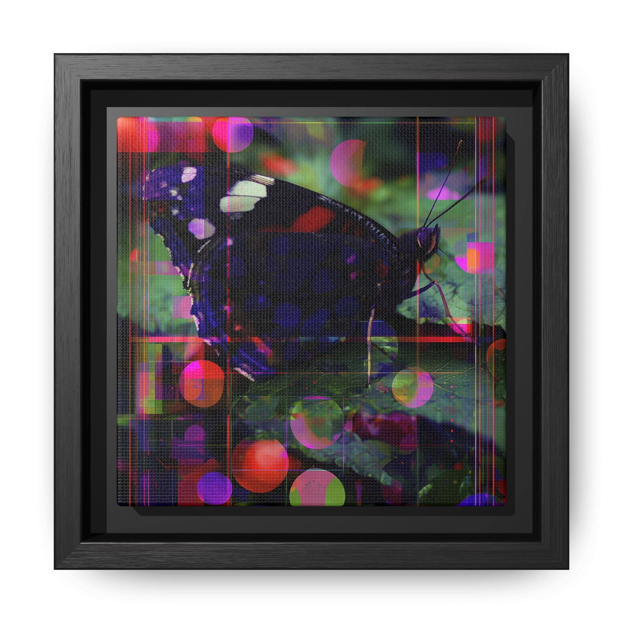 Metamorphic Glitch: Digital Nature Remix, Butterfly Geometric Distortion   |    Custom Orders Available