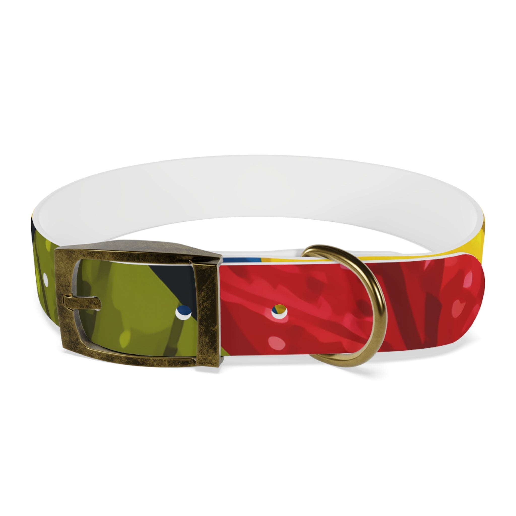 Colorful Colombian Abstract Dog Collar — Vibrant Ethnic Pattern Pet Collar