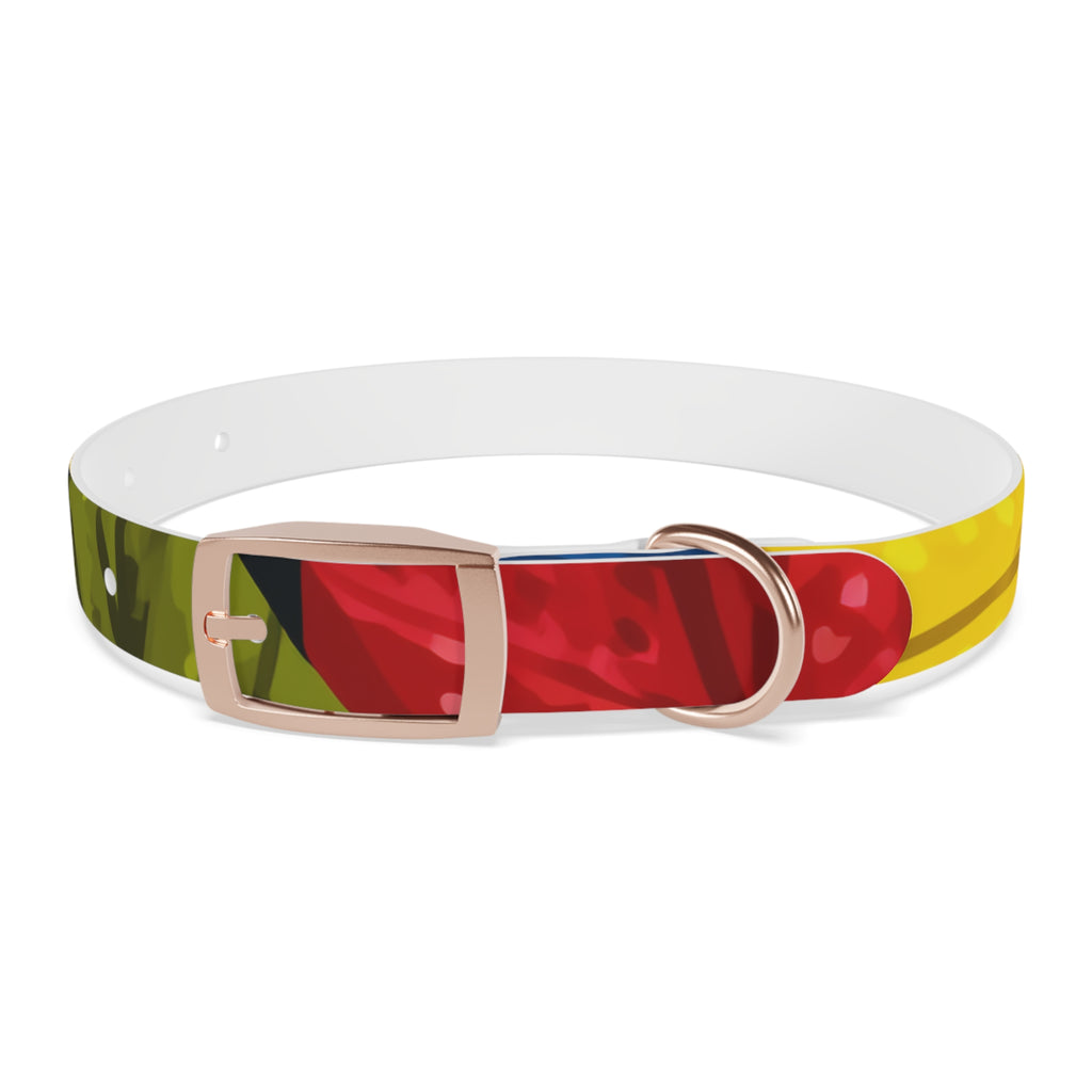 Colorful Colombian Abstract Dog Collar — Vibrant Ethnic Pattern Pet Collar
