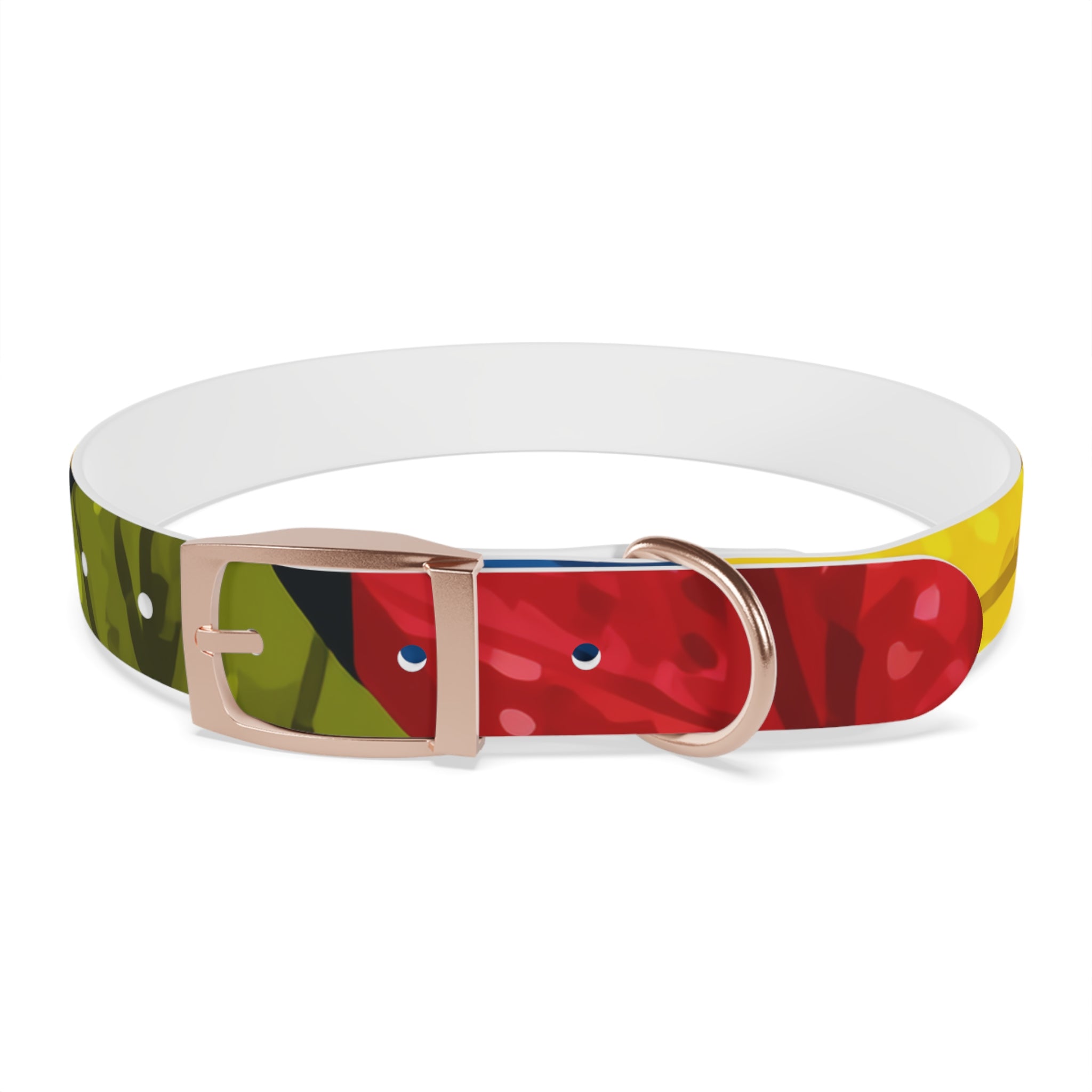 Colorful Colombian Abstract Dog Collar — Vibrant Ethnic Pattern Pet Collar