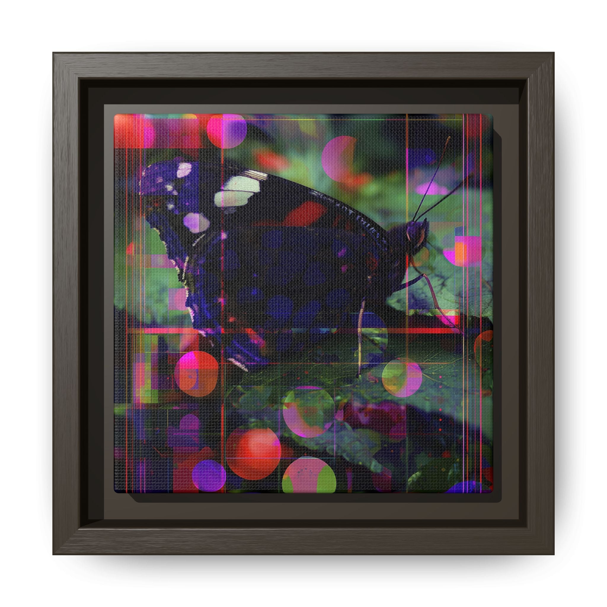 Metamorphic Glitch: Digital Nature Remix, Butterfly Geometric Distortion   |    Custom Orders Available