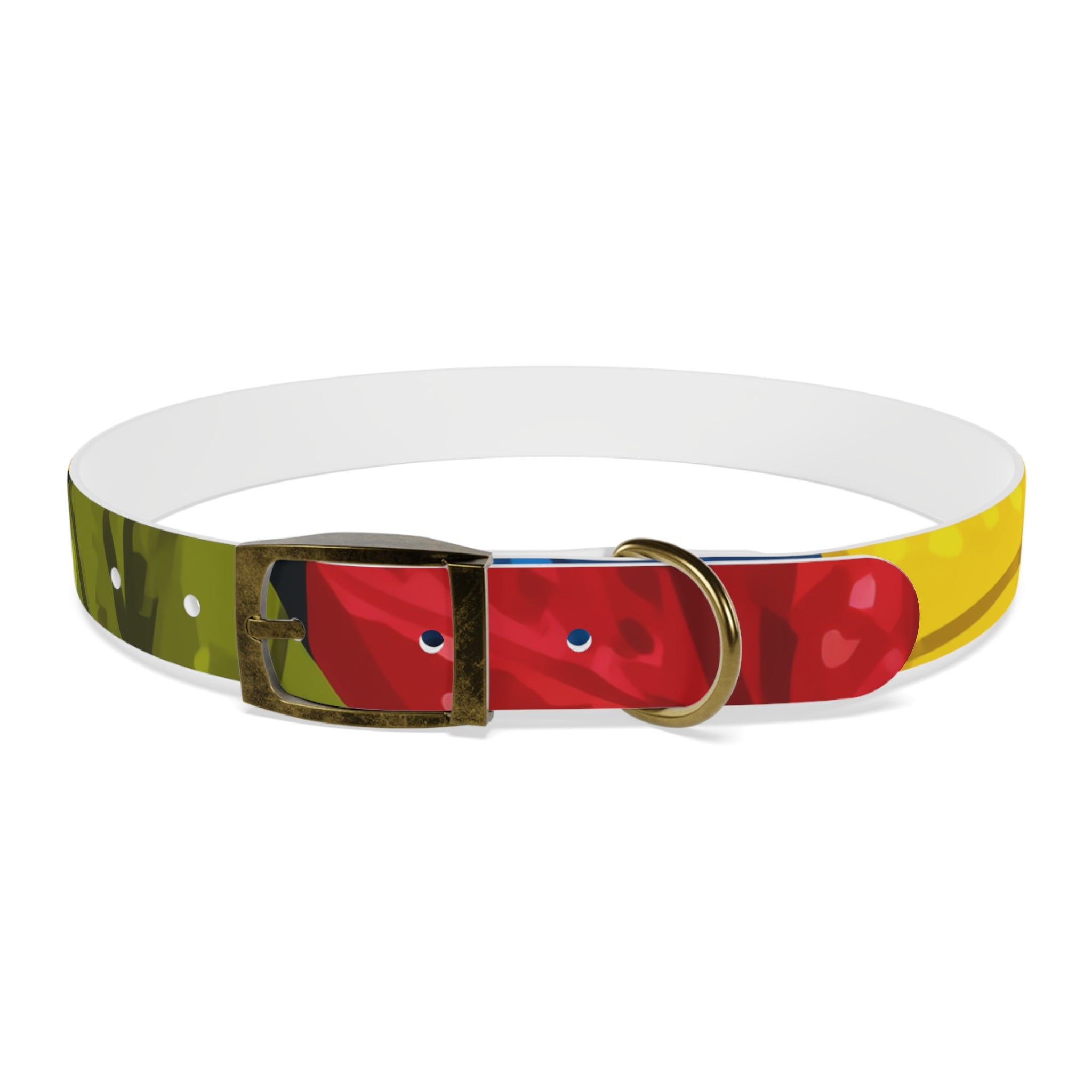 Colorful Colombian Abstract Dog Collar — Vibrant Ethnic Pattern Pet Collar