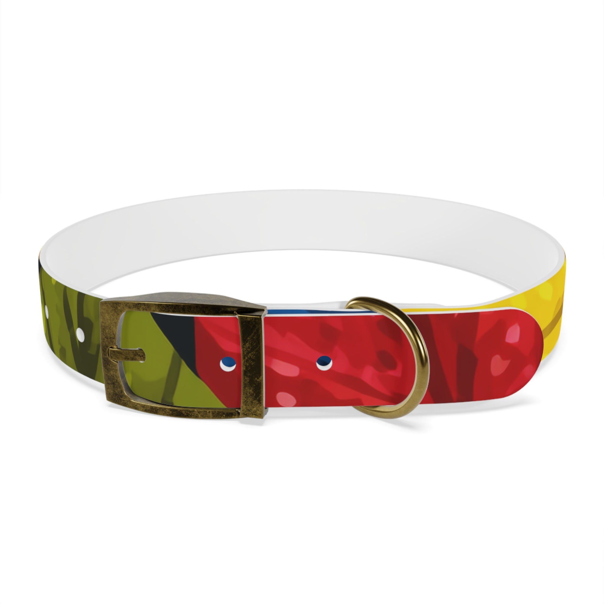 Colorful Colombian Abstract Dog Collar — Vibrant Ethnic Pattern Pet Collar